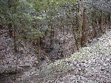 Ruth Dorrough; Hiking Day Trips FL Land Trust Preserves Wesley Hill